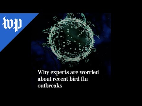 Navigating H5N1: Tech Solutions for Pandemic Preparedness