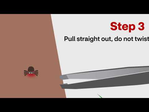 Find Your Local Minute Clinic for Convenient Care Solutions