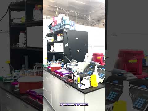 Unlocking Health Potential with the HB Vaccine Innovation