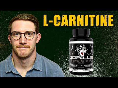 Unlock Your Fitness Potential with L-Carnitine Supplements