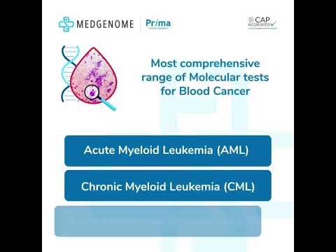 Unlocking Insights into Blood Cancer Types and Innovations