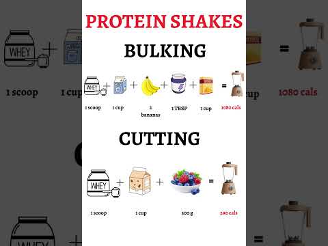 Top Protein Shakes That Fuel Weight Loss Success