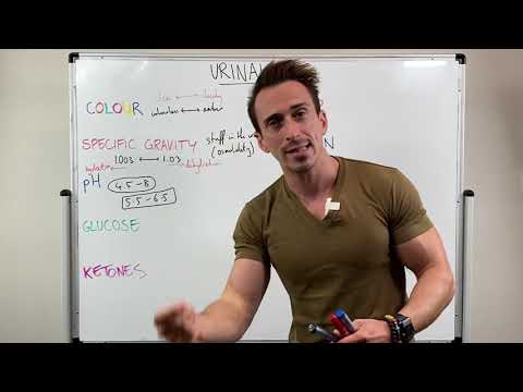 Transform Your Health: Understanding Squamous Cells in Urine