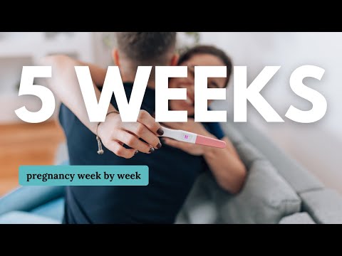Navigating the Exciting Journey at 5 Weeks Pregnant