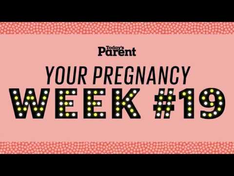 19 Weeks Pregnant: Embrace the Future of Smart Parenting