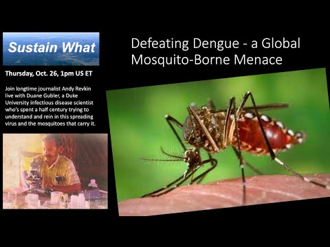 Innovative Solutions to Combat the Dengue Virus Threat