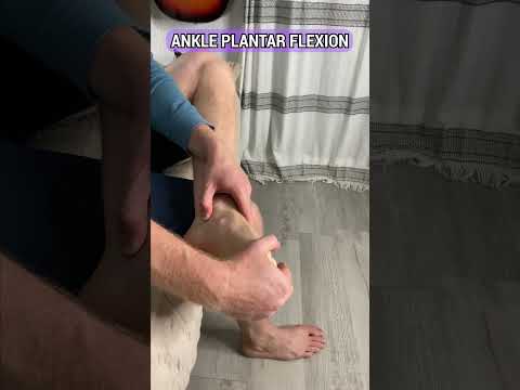 Enhance Mobility with Effective Ankle Stretches Today