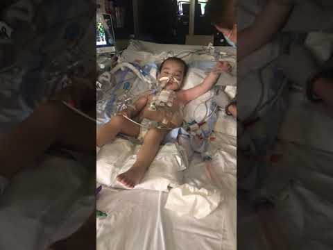 Innovative Solutions Through the Fontan Procedure Revolution