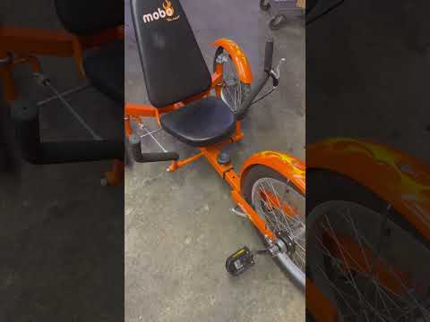 Revolutionize Your Ride with Adult 3 Wheel Bikes