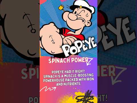 Fuel Your Future with Innovative Vegan Protein Solutions