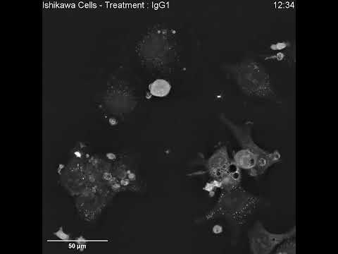Spotlight on Cancer Rash: Innovations in Treatment Tech