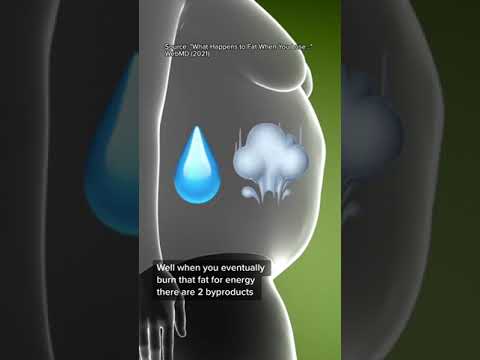Unlocking the Hidden Secrets Behind Unexplained Weight Gain