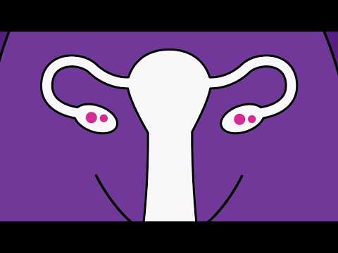 Revolutionizing Birth Control with the Vaginal Ring Tech