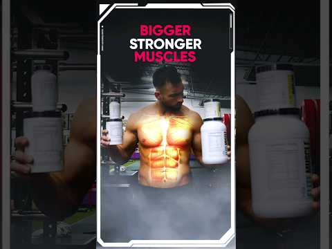 Fuel Your Gains with Cutting-Edge Muscle Supplements