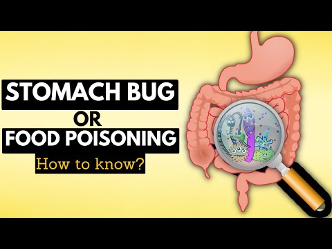 Understanding GI Bug Symptoms for Health Tech Solutions