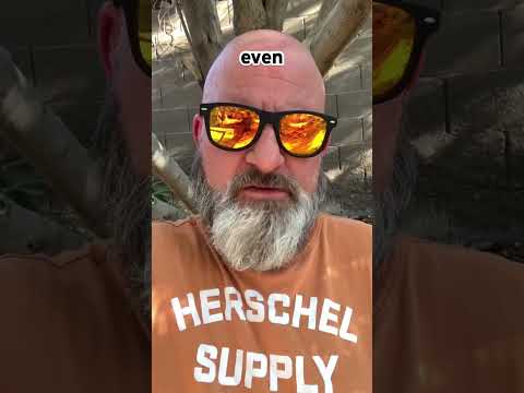 Navigating Bipolar and Schizophrenia in a Tech-Driven Era