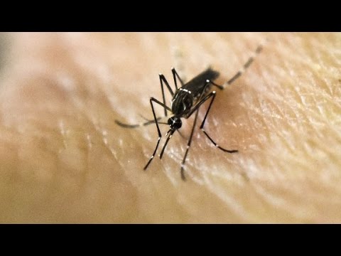 Get Your Yellow Fever Vaccine Nearby Today with Ease