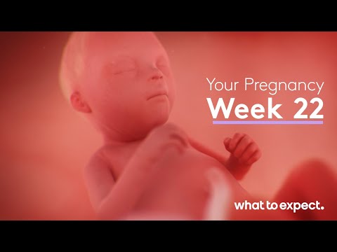 22 Weeks Pregnant Equals 5 Months: A Tech-Savvy Breakdown