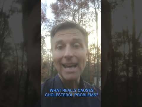 Unlock the Secrets Behind High Cholesterol Causes Today