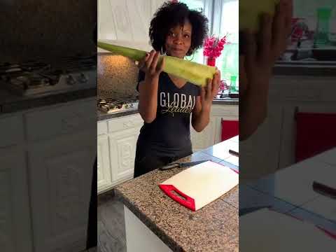 Revitalize Your Skin with Aloe Vera Technology