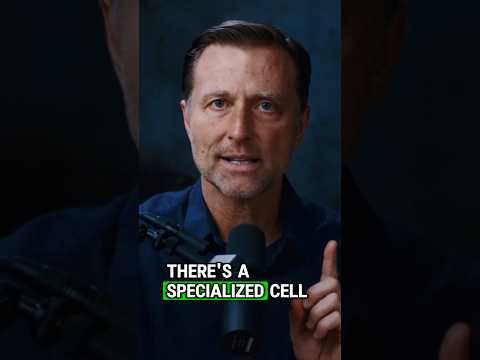 Boost Your Health with Vitamin D3 5000 IU Innovation