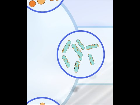 Protect Your Future with the Innovative DTaP Vaccine