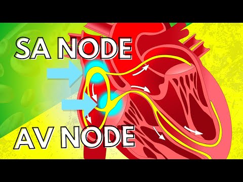 Unlocking Growth Potential with SA Node Technology