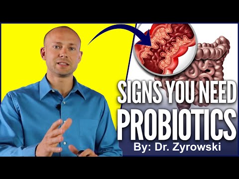 Revolutionize Your Gut Health with Lactobacillus Probiotics