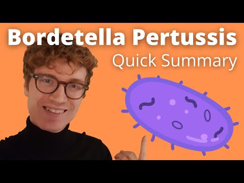 Innovative Solutions to Combat Bordetella Pertussis Threats