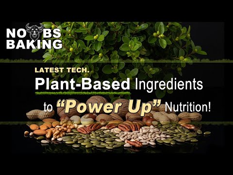 Power Up with Plant Protein: The Future of Nutrition