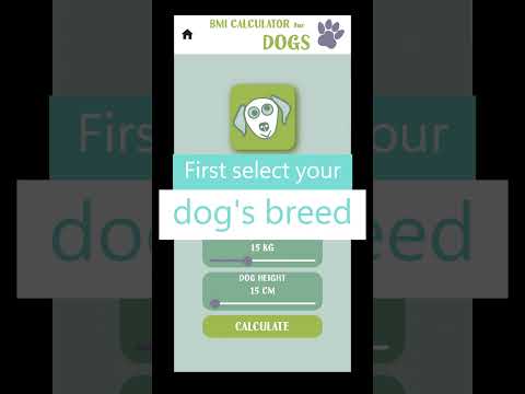 Get Fit Fast: Instant BMI Calculator at Your Fingertips