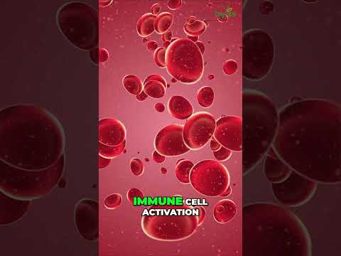 Boost Your Health with Calcium Magnesium and Zinc Power