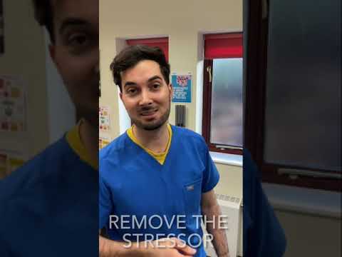 Revitalize Your Life: Combat Extreme Tiredness with Tech