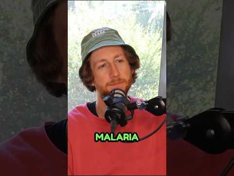 Malarone Revolutionizes Malaria Prevention with Cutting-Edge Tech