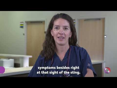 Bee Sting Swollen Solutions for Pain Relief and Recovery