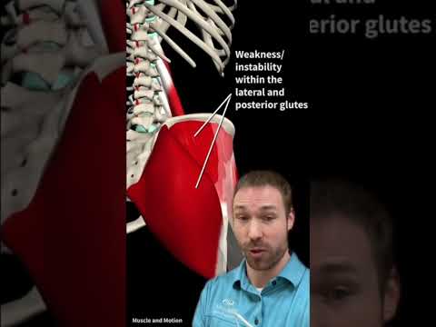 Revitalize Your Movement: High-Tech Solutions for Hip Flexor Strains
