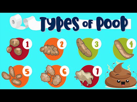 Oil in Stool: Unveiling Causes and Solutions for Better Health