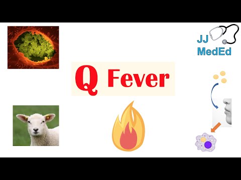 Understanding Q Fever: Innovations in Prevention and Treatment