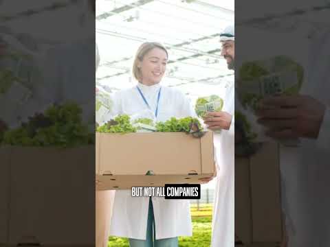 Title: Wañgreens: Merging Marketing and Sustainable Tech Solutions  

Analysis:  
The term wañgreens seems to suggest a blend of sustainability (green) and perhaps an innovative or playful approach to marketing (wañ). Its main intention likely revolves around promoting eco-friendly practices within the marketing and technology sectors. This title highlights that fusion, appealing to audiences interested in both sustainable business practices and technological advancement.