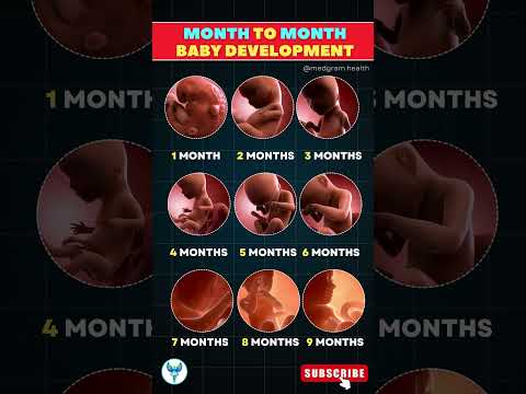 One Month Pregnant: Tech Innovations for Expecting Moms
