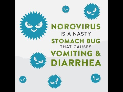 Stay Safe: Understanding Stomach Bug Contagion Today