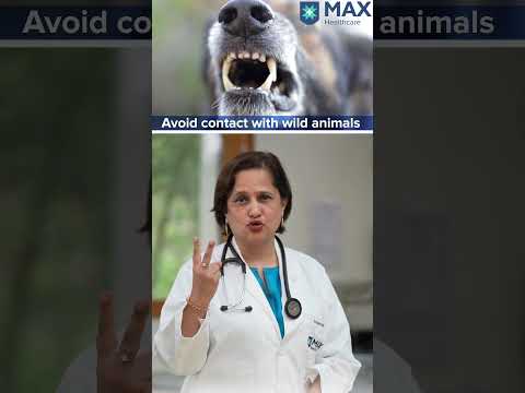 Find Top Rabies Clinics Near You with Smart Tech Solutions