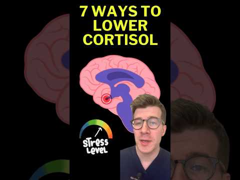 Balance Your Stress: Innovative Solutions for High Cortisol