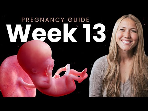 13 Weeks Pregnant in Months: Your Tech-Enhanced Journey