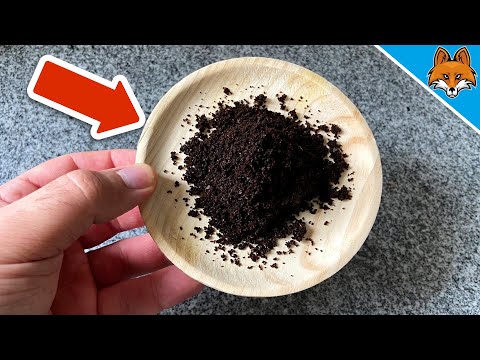 Coffee Grounds in Tech: Uncovering Hidden Insights