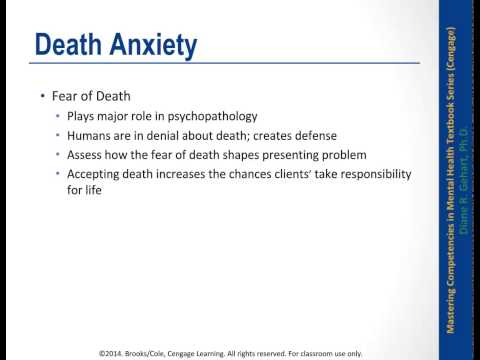 Navigating Life's Questions with Existential Therapy in Tech