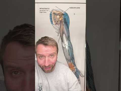 Unlocking Insights Behind Your Left Arm Tingling Sensation