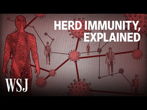 Harnessing Herd Immunity for Tech-Driven Market Success