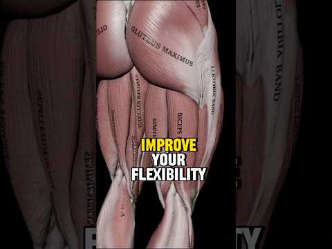 Unlock Flexibility with Top Hamstring Stretch Techniques