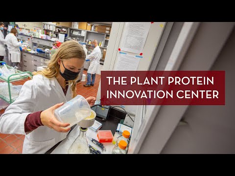 Plant Powered Protein: Innovation Meets Nutrition
